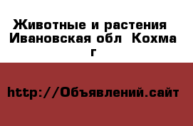  Животные и растения. Ивановская обл.,Кохма г.